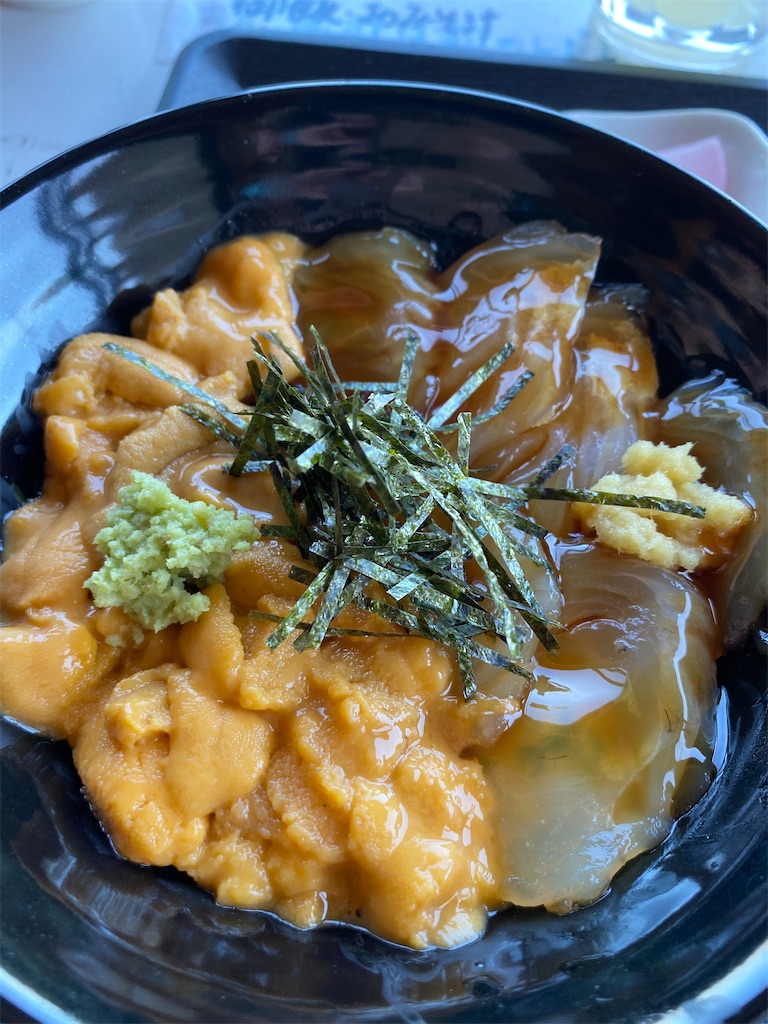 f:id:YUKI77246446:20230617044632j:image