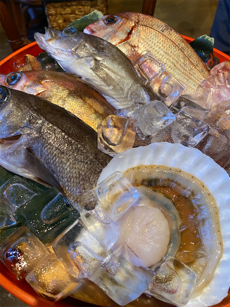 f:id:YUKI77246446:20230708220739j:image