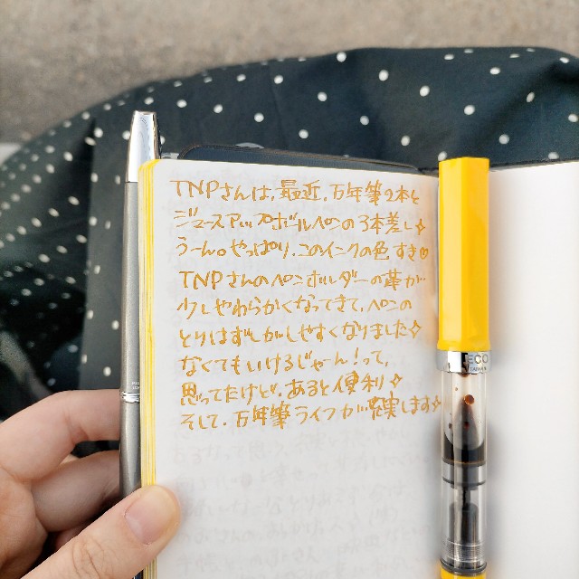 私の大好きな万年筆の中の1本！！ TWSBI ECO （字幅STAB）さんの紹介