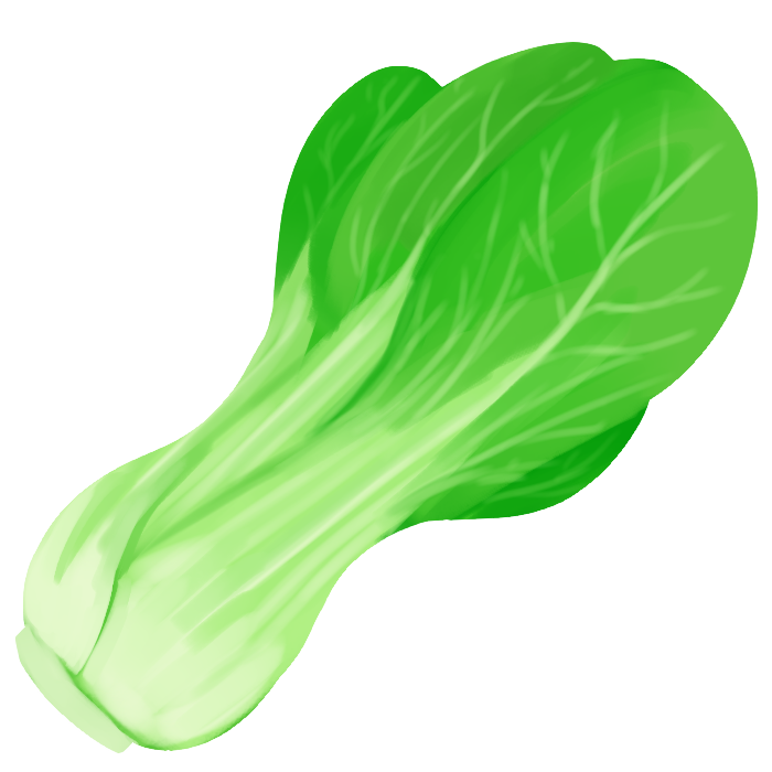 チンゲン菜 Yuminamiaのイラスト置き場 チンゲン菜 Yuminamiaのイラスト置き場