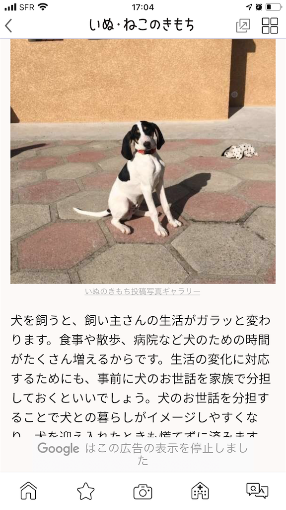 f:id:YUMLASER:20210214010512p:plain