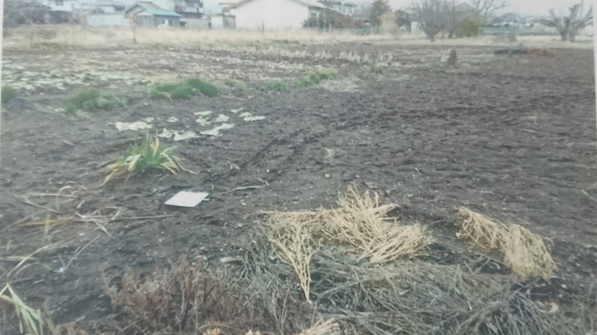 f:id:YUPIN:20210604135659j:plain