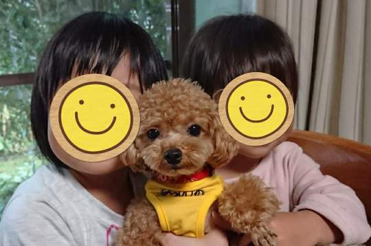 f:id:YUPIN:20211013220700j:plain