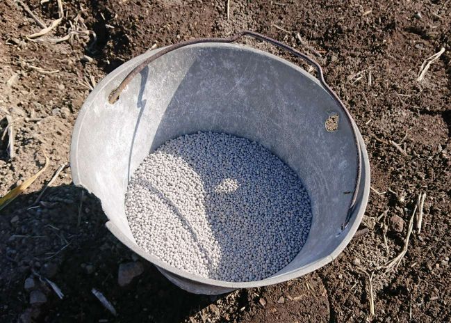 f:id:YUPIN:20211204104935j:plain