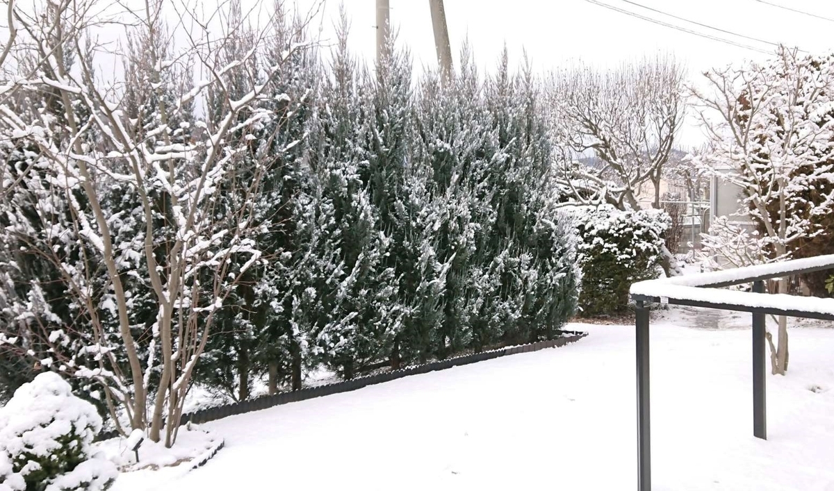 f:id:YUPIN:20211231094458j:plain