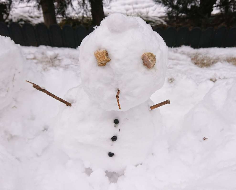 f:id:YUPIN:20211231145203j:plain