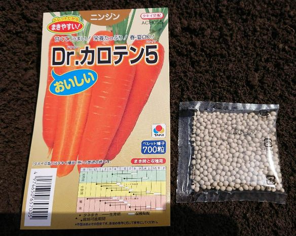 ニンジン おかのり ズッキーニの種蒔き 家庭菜園 Yupinの投資と暮らしの日記