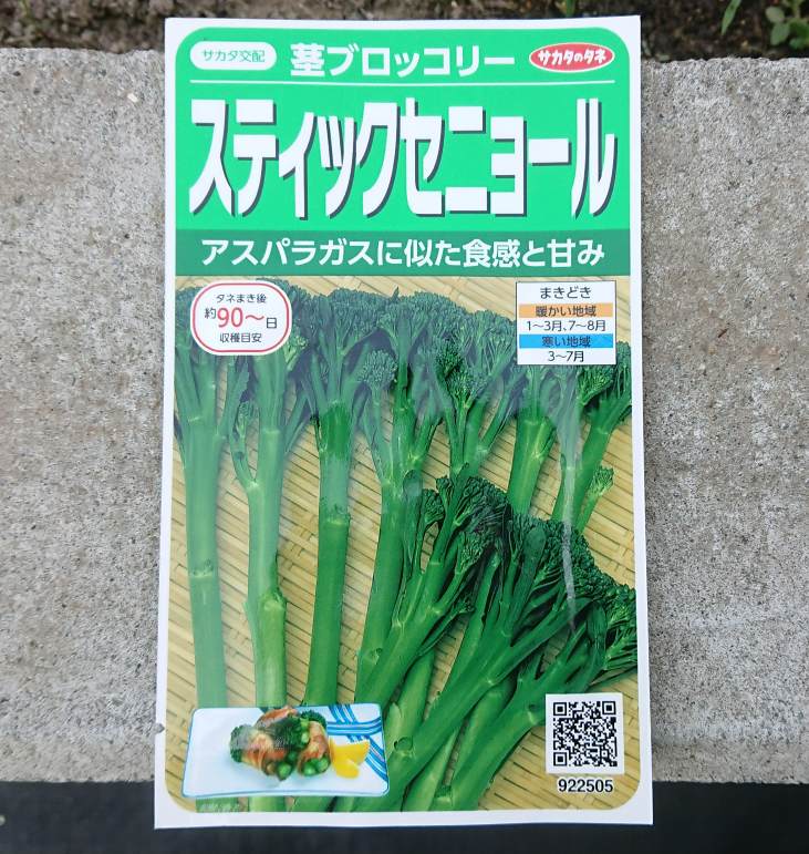 スティックセニョール栽培に初挑戦 Yupinの投資と暮らしの日記