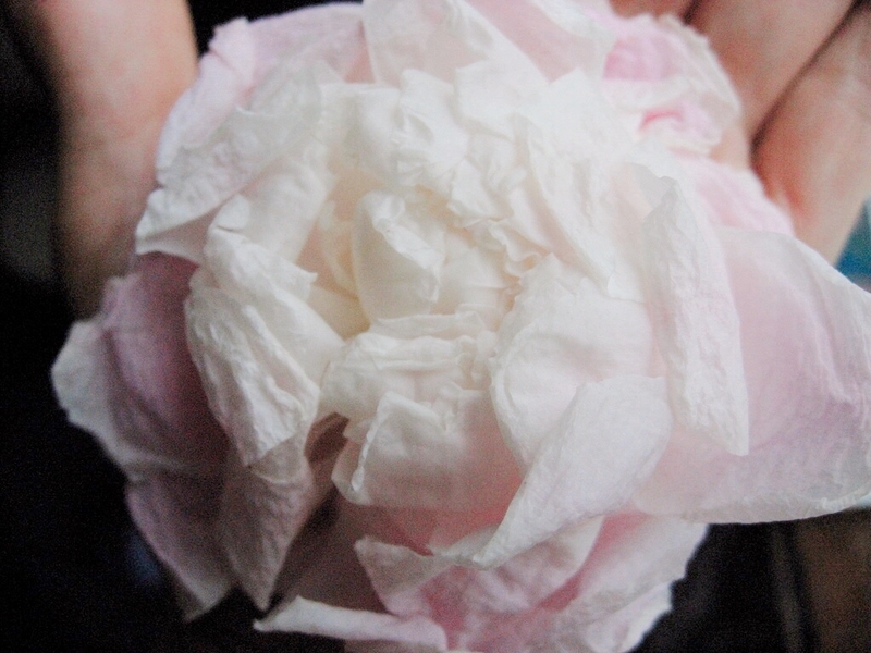 f:id:YURURI:20200516123951j:plain f:id:YURURI:20200516123951j:plain