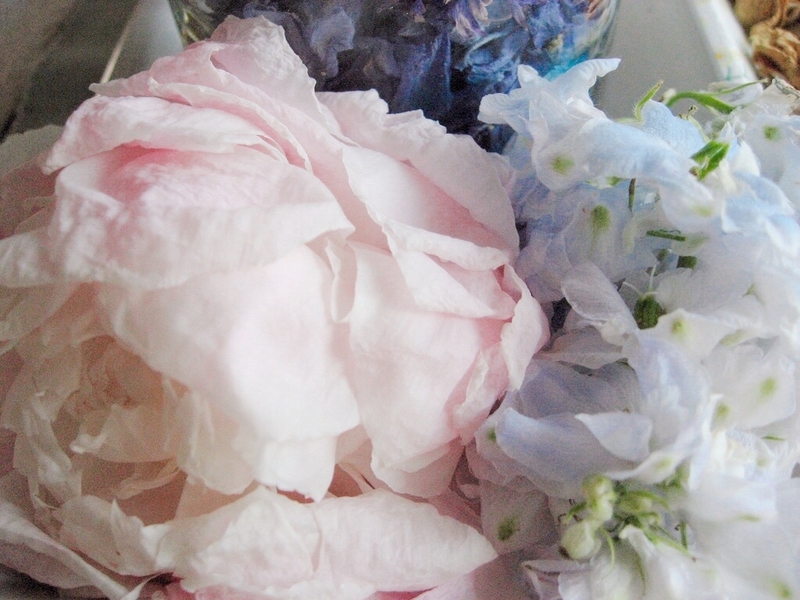 f:id:YURURI:20200516124007j:plain f:id:YURURI:20200516124007j:plain