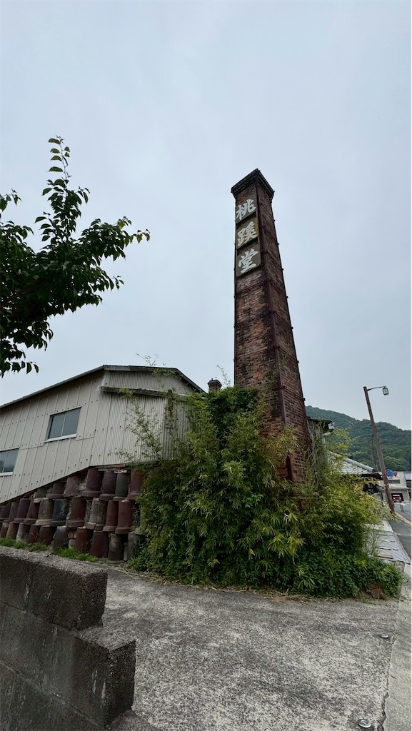 f:id:YUSHUN:20250627103352j:image