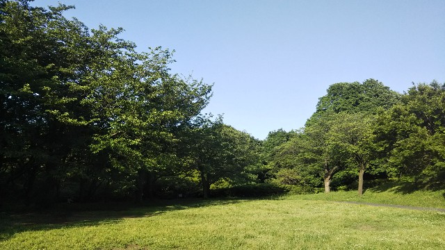 f:id:YUTAI:20190601171930j:image f:id:YUTAI:20190601171930j:image