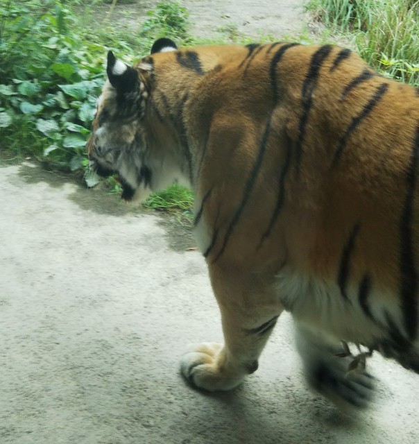 f:id:YUTAI:20200830114044j:image f:id:YUTAI:20200830114044j:image