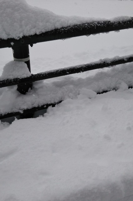f:id:YUTAI:20201215142747j:image f:id:YUTAI:20201215142747j:image