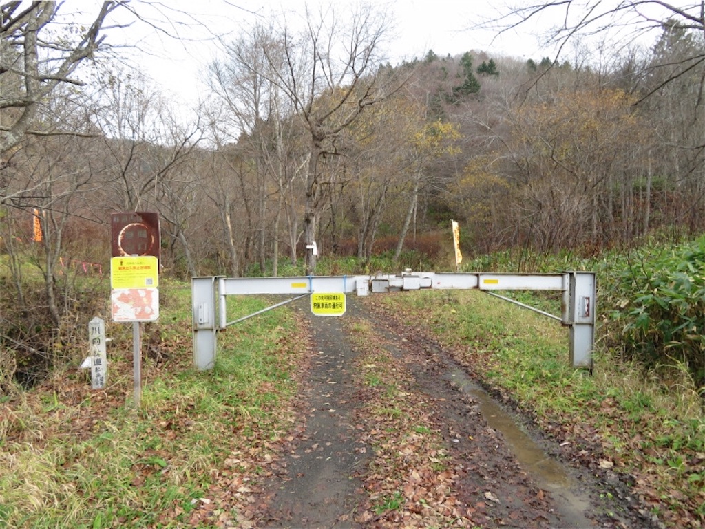 f:id:Y_takahashi_Y:20210607100151j:image