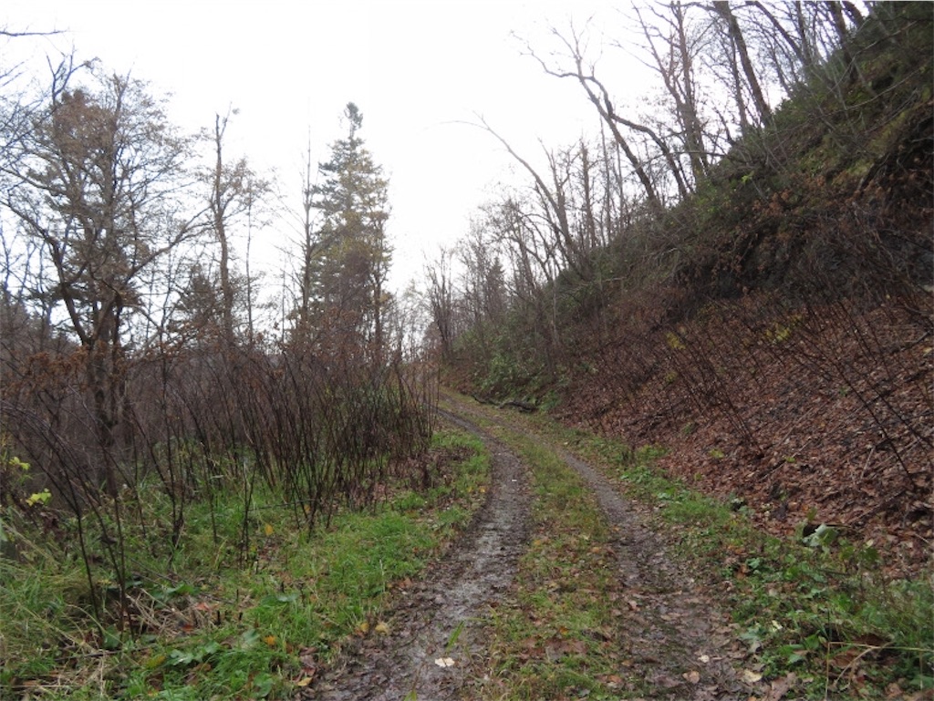 f:id:Y_takahashi_Y:20210607101154j:image