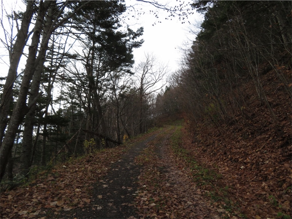 f:id:Y_takahashi_Y:20210607101412j:image