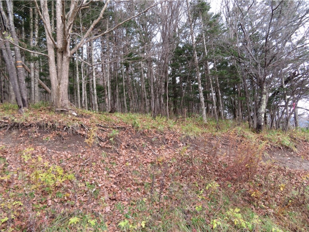 f:id:Y_takahashi_Y:20210607101441j:image