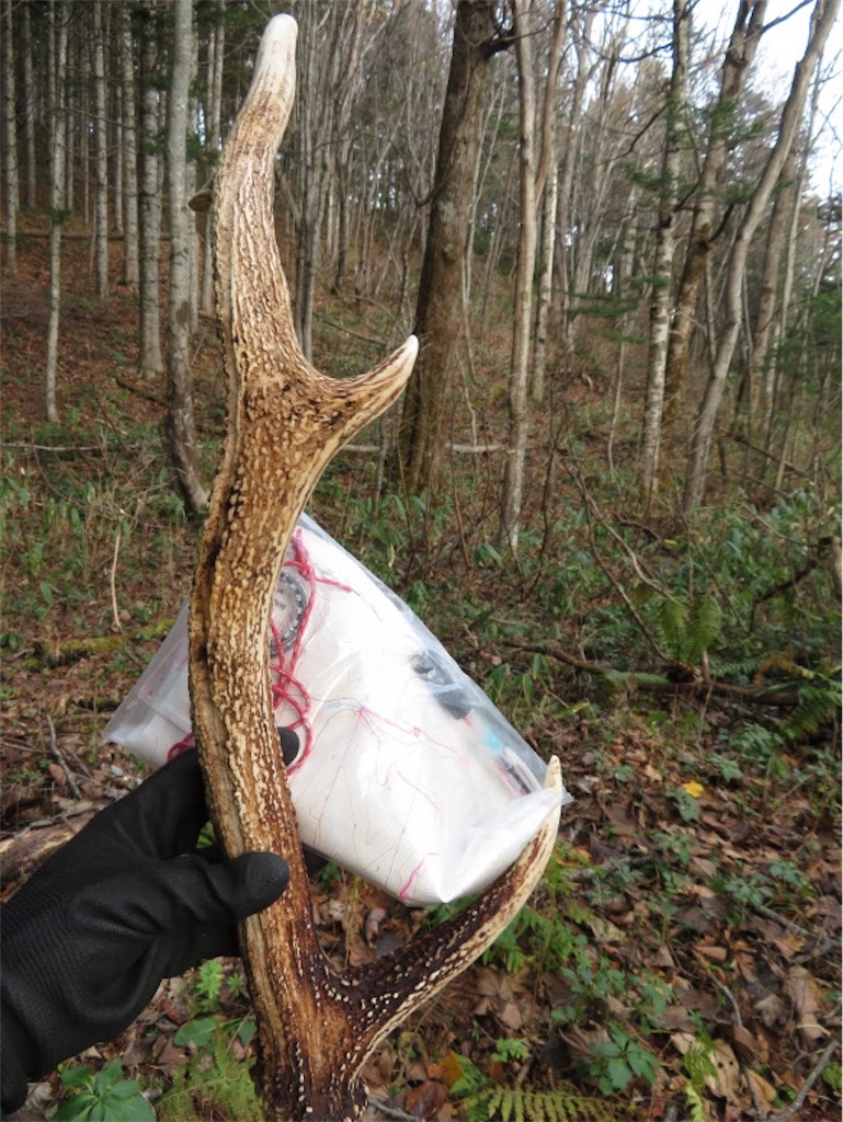 f:id:Y_takahashi_Y:20210607102248j:image