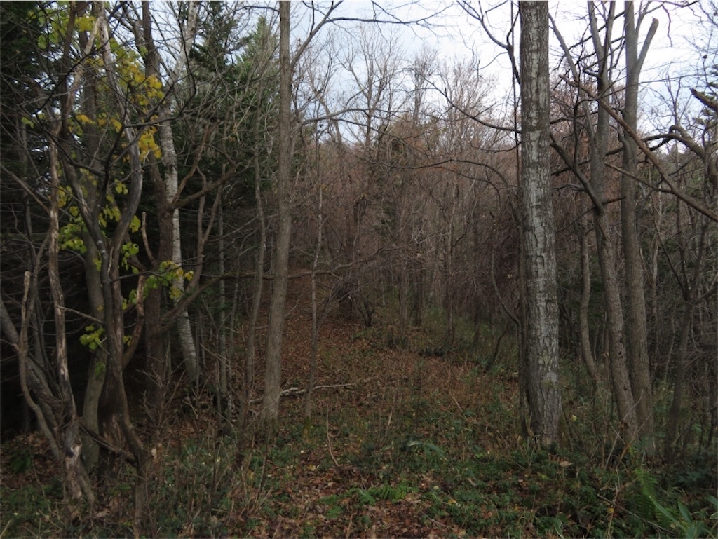 f:id:Y_takahashi_Y:20210607103233j:image