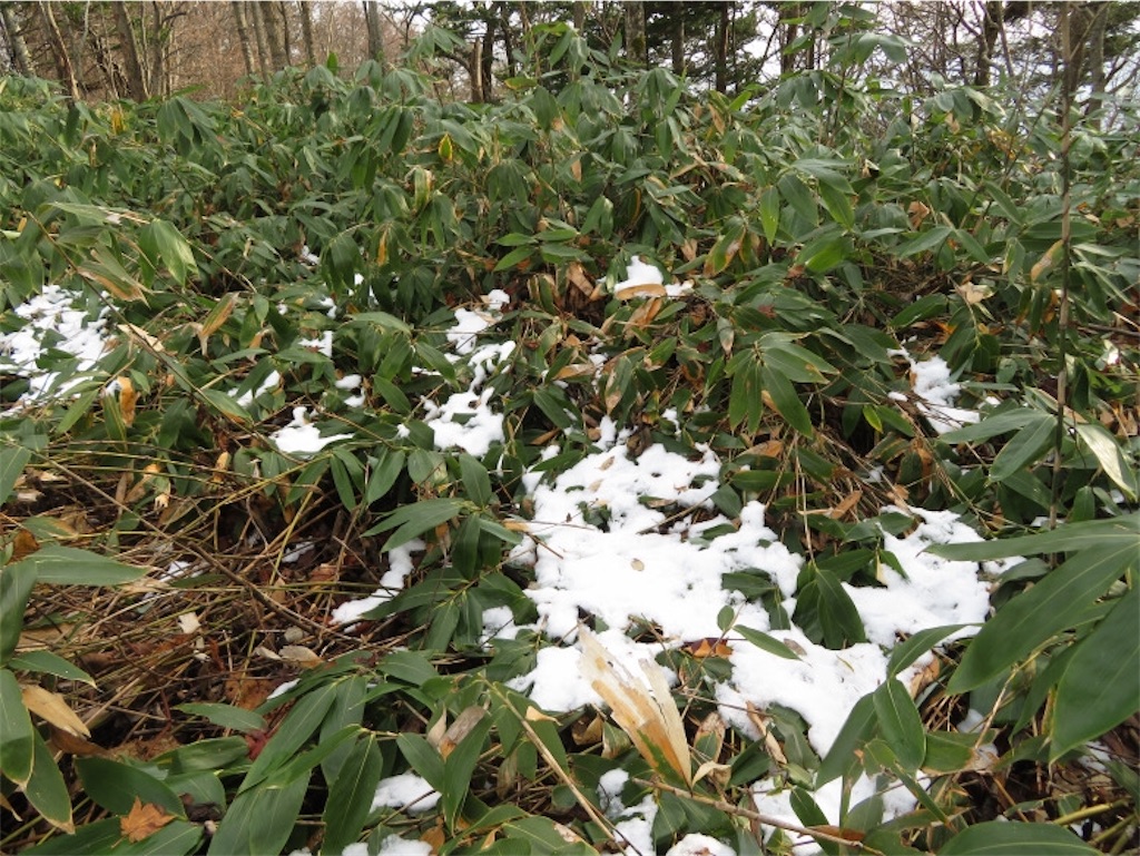 f:id:Y_takahashi_Y:20210607104937j:image