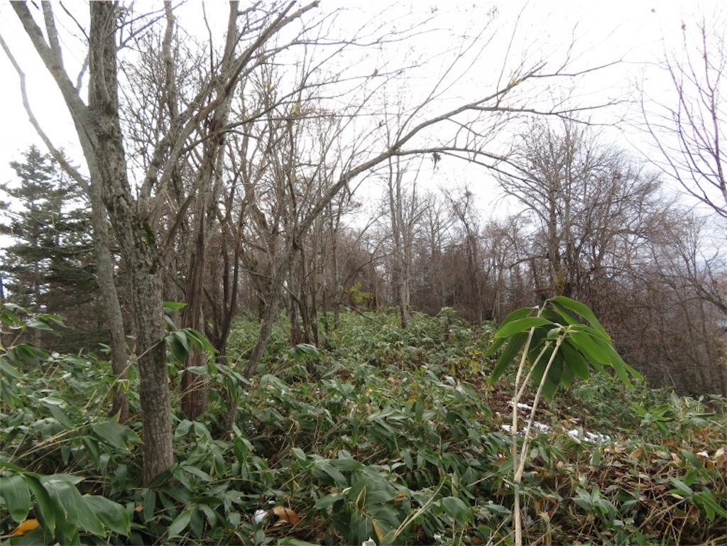 f:id:Y_takahashi_Y:20210607105912j:image