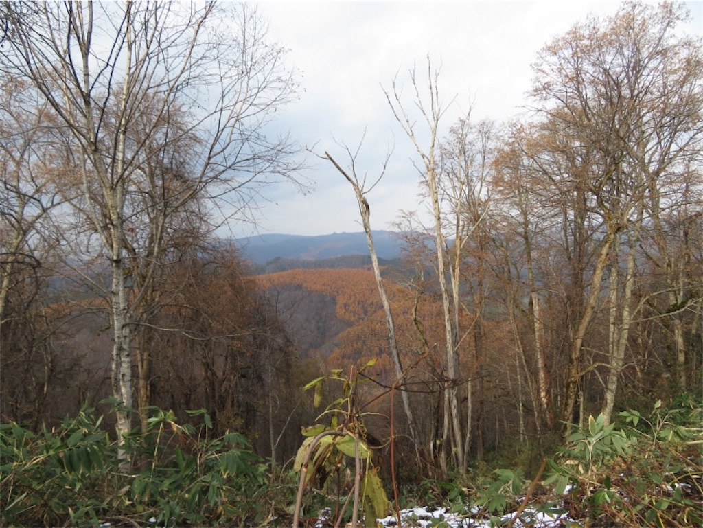 f:id:Y_takahashi_Y:20210607105917j:image