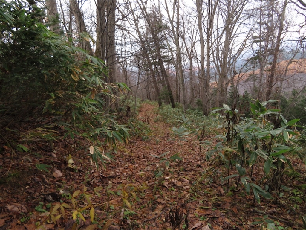 f:id:Y_takahashi_Y:20210607110754j:image