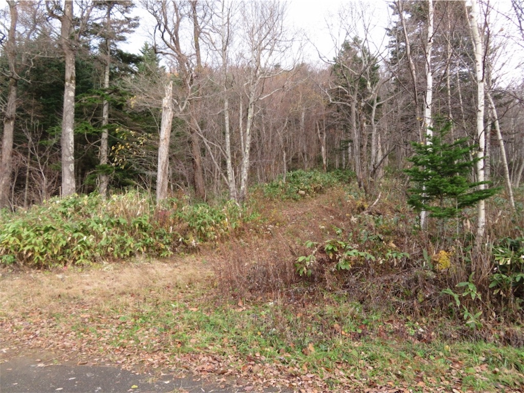 f:id:Y_takahashi_Y:20210607111108j:image