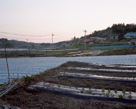f:id:YaMaCtA:20140617192021j:image