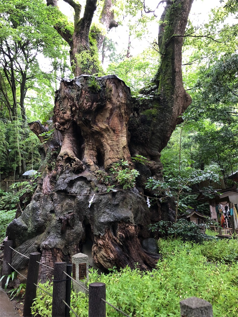 f:id:Yagen:20180905130153j:image f:id:Yagen:20180905130153j:image