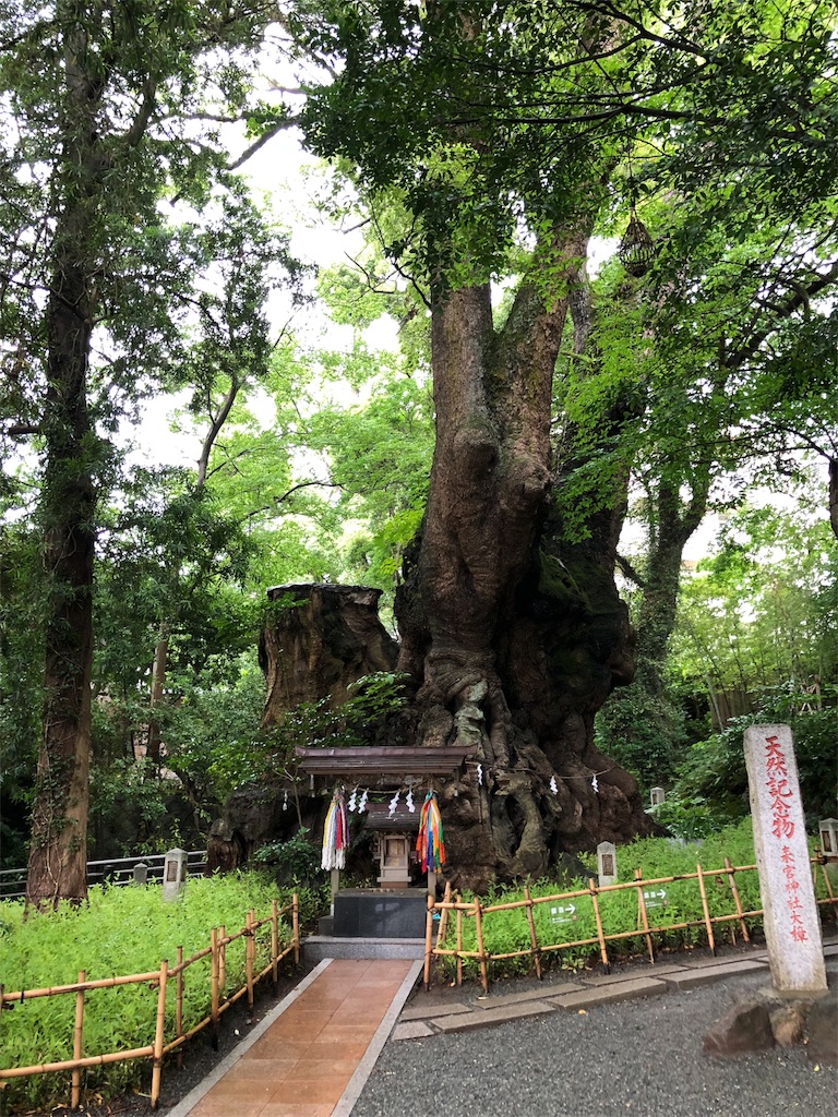 f:id:Yagen:20180905130156j:image f:id:Yagen:20180905130156j:image