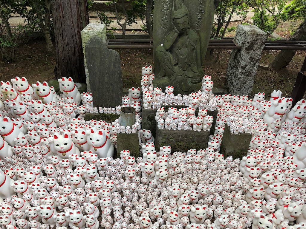 f:id:Yagen:20190617103011j:image f:id:Yagen:20190617103011j:image