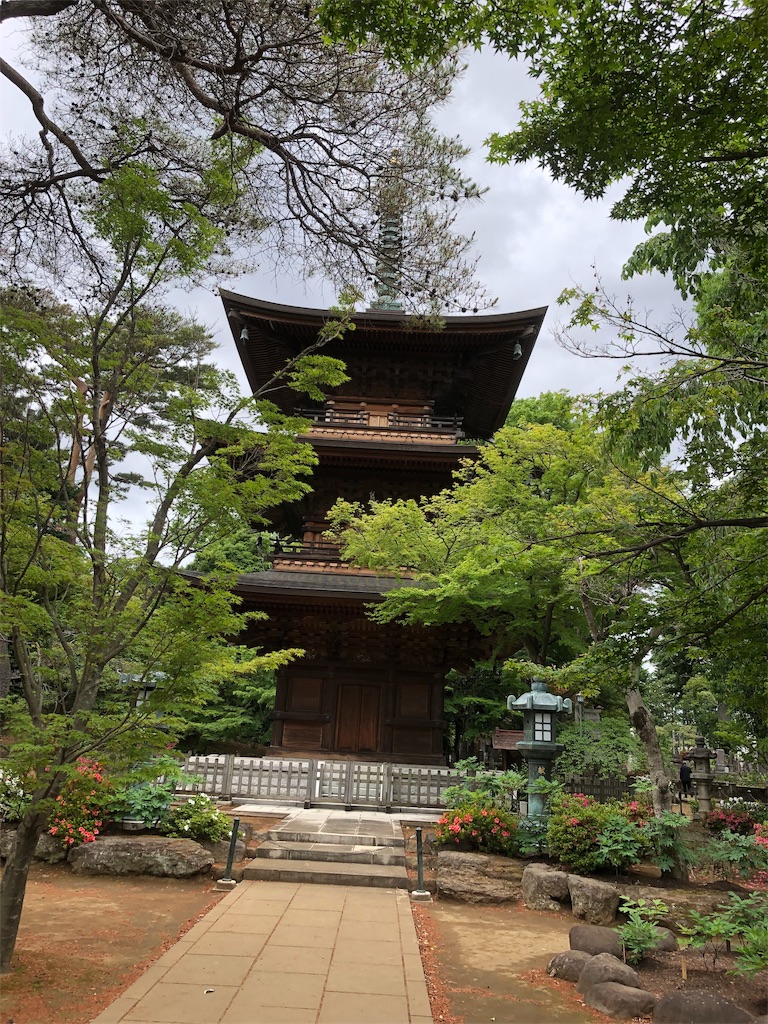 f:id:Yagen:20190617103018j:image f:id:Yagen:20190617103018j:image