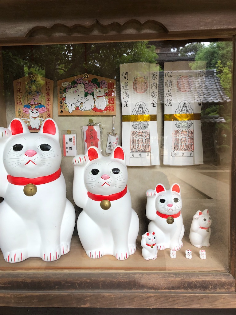 f:id:Yagen:20190617103030j:image f:id:Yagen:20190617103030j:image