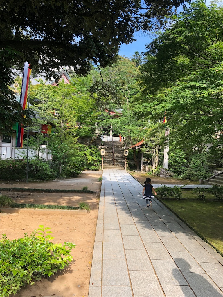 f:id:Yagen:20190723100008j:image f:id:Yagen:20190723100008j:image