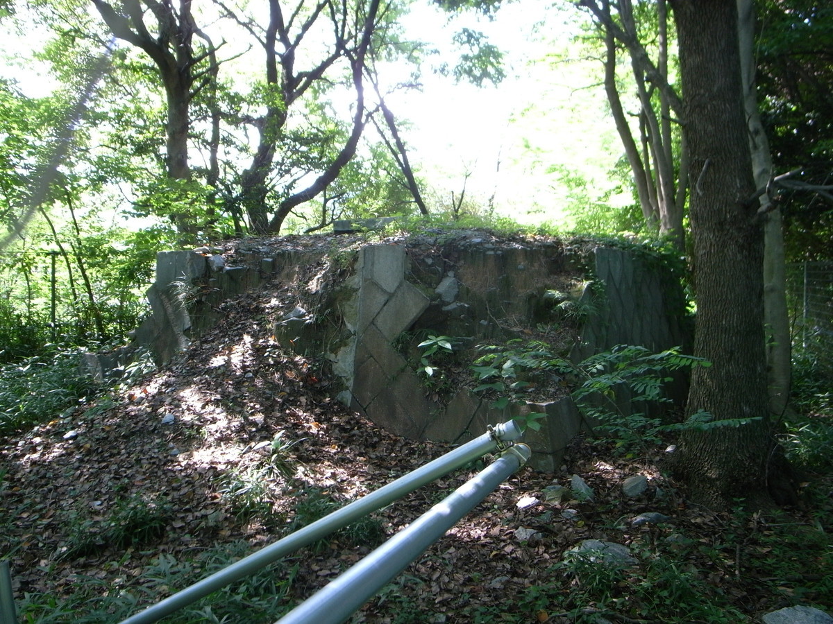 f:id:Yagyu8bei:20070102045551j:plain