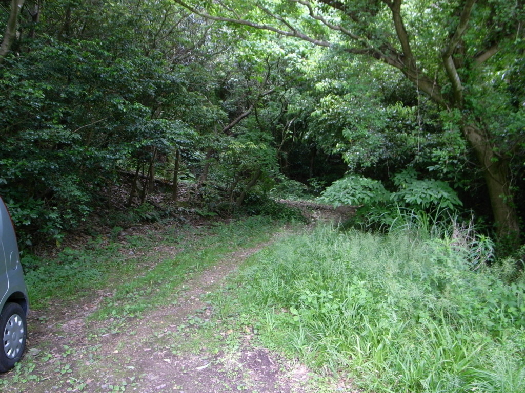 f:id:Yagyu8bei:20180603105547j:plain f:id:Yagyu8bei:20180603105547j:plain