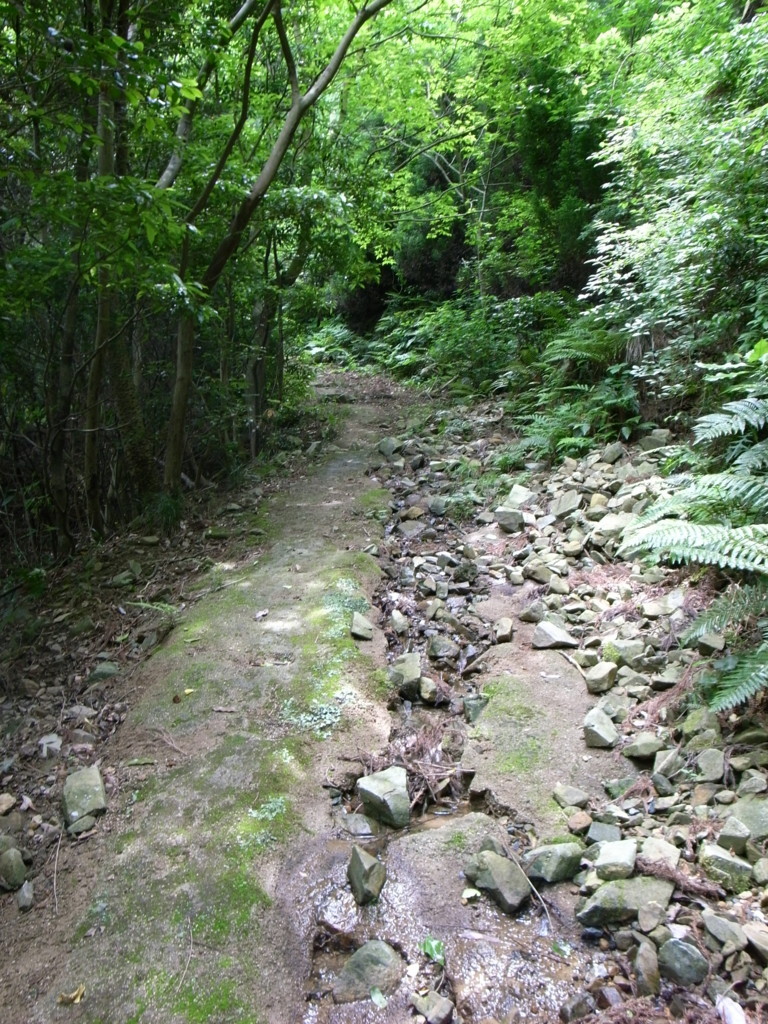 f:id:Yagyu8bei:20180603105821j:plain