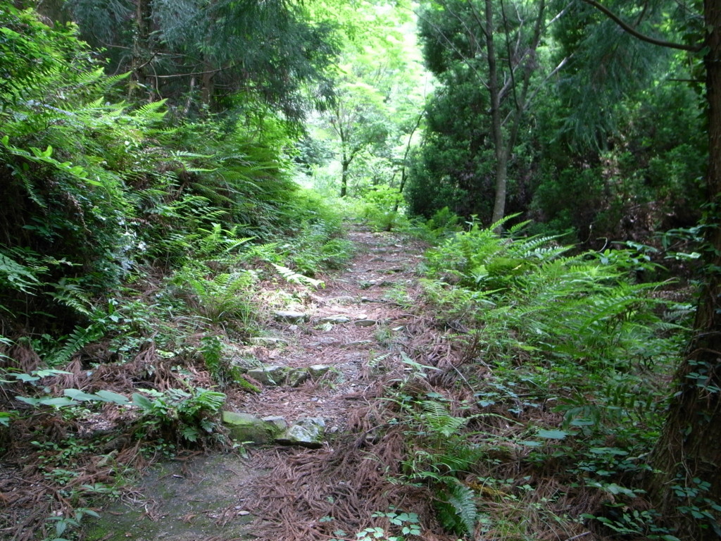 f:id:Yagyu8bei:20180603105947j:plain f:id:Yagyu8bei:20180603105947j:plain