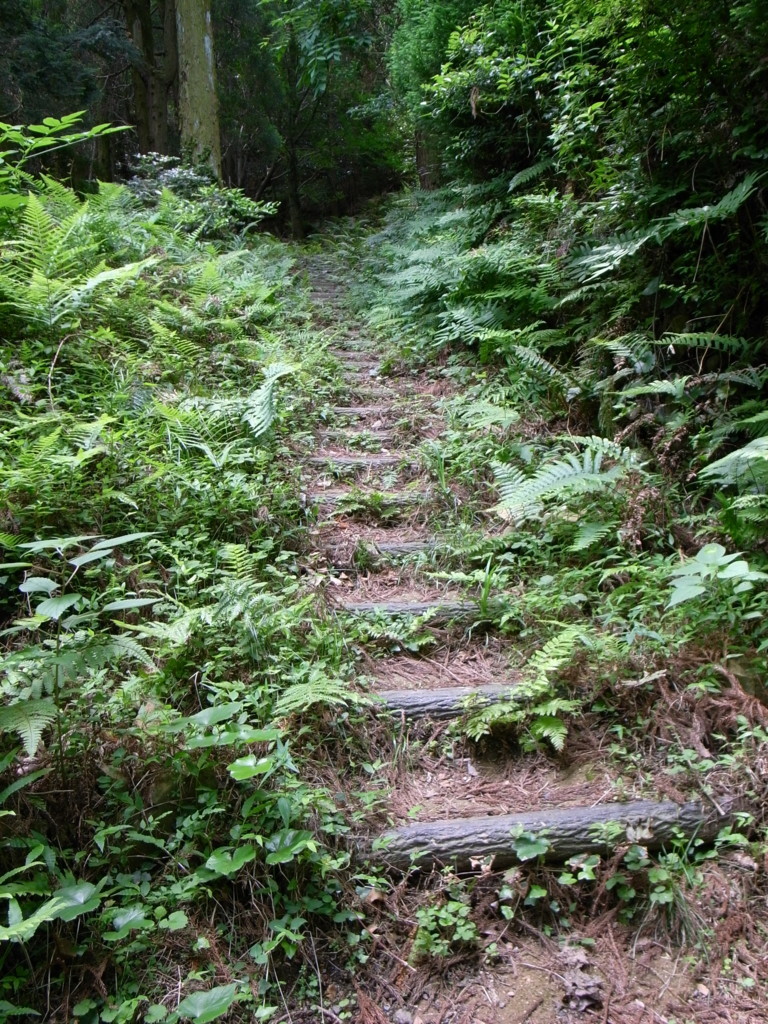 f:id:Yagyu8bei:20180603110307j:plain f:id:Yagyu8bei:20180603110307j:plain