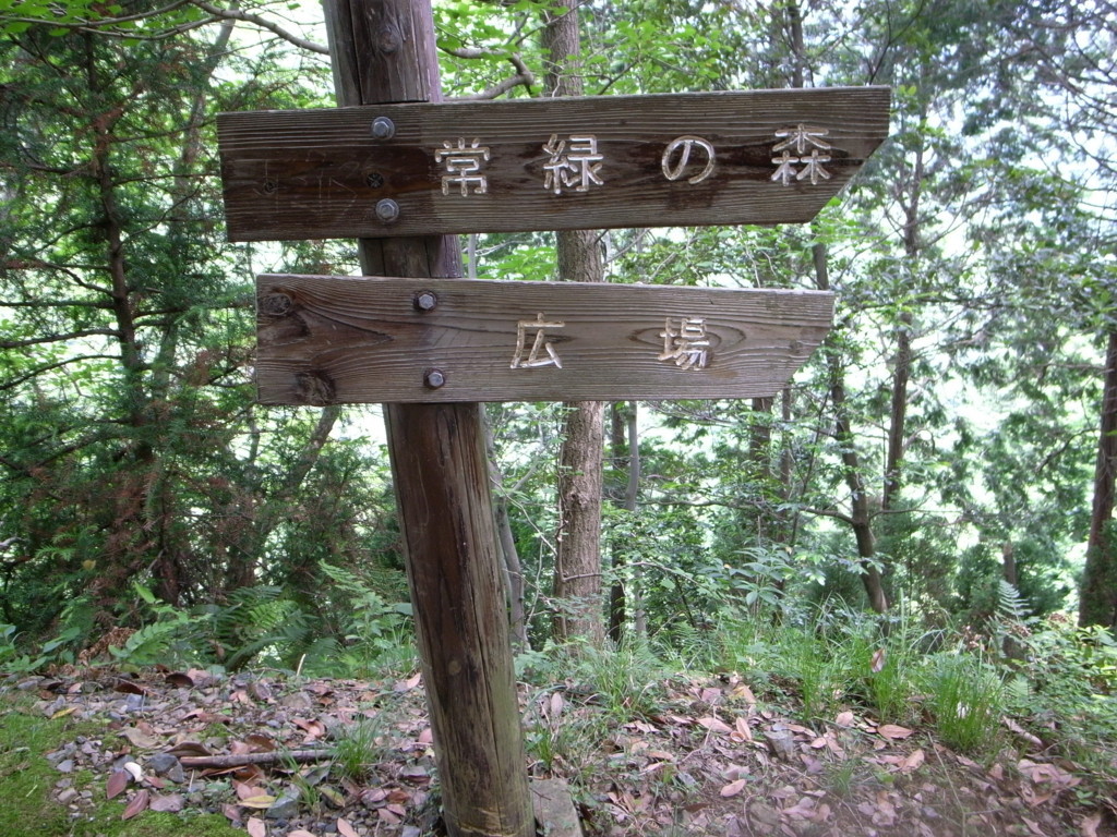 f:id:Yagyu8bei:20180603110416j:plain