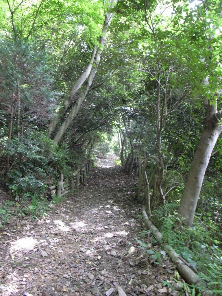 f:id:Yagyu8bei:20180603111825j:plain f:id:Yagyu8bei:20180603111825j:plain