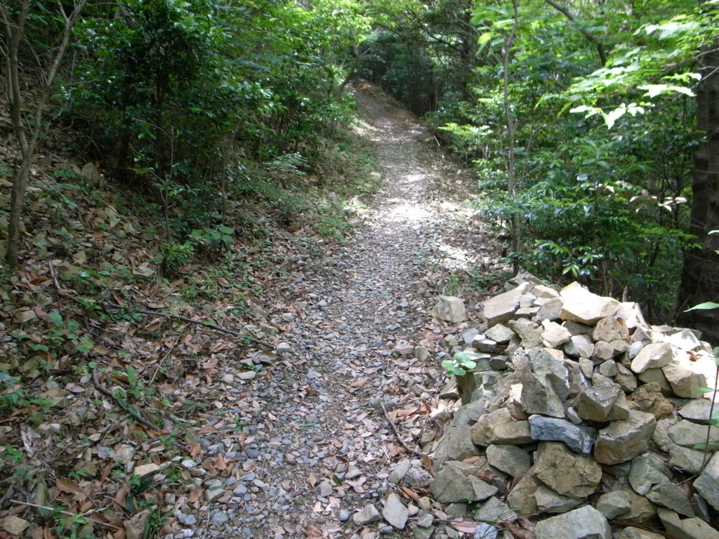 f:id:Yagyu8bei:20180603112157j:plain f:id:Yagyu8bei:20180603112157j:plain