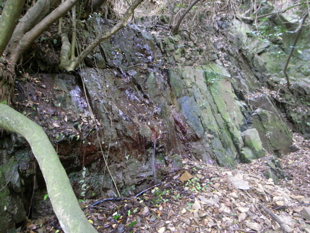 f:id:Yagyu8bei:20180603113119j:plain f:id:Yagyu8bei:20180603113119j:plain