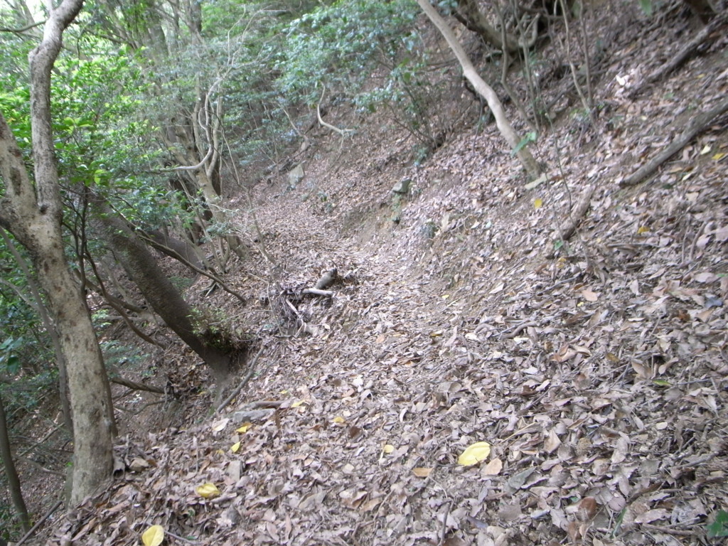 f:id:Yagyu8bei:20180603113758j:plain