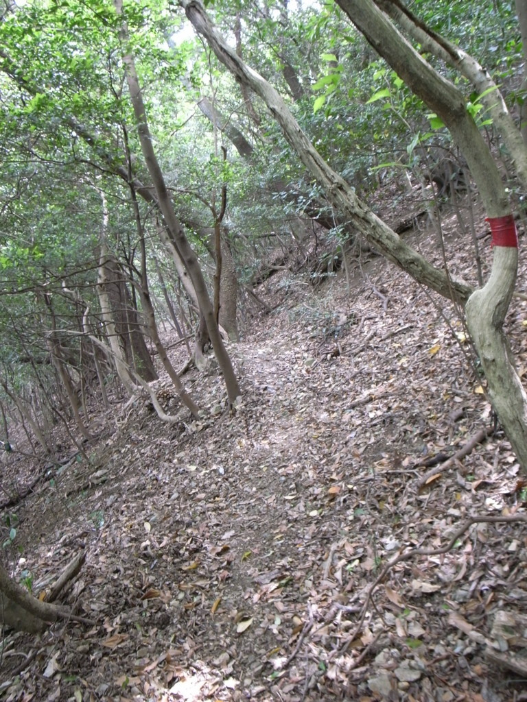 f:id:Yagyu8bei:20180603113842j:plain f:id:Yagyu8bei:20180603113842j:plain