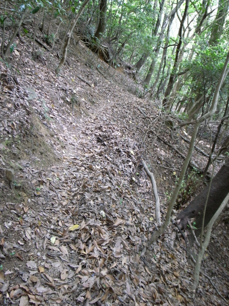 f:id:Yagyu8bei:20180603115250j:plain