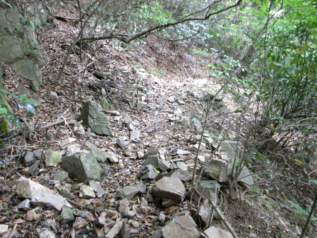 f:id:Yagyu8bei:20180603115749j:plain