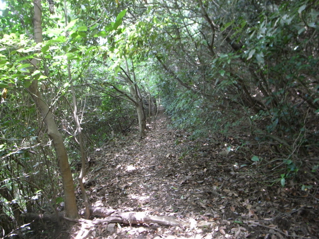 f:id:Yagyu8bei:20180603120248j:plain f:id:Yagyu8bei:20180603120248j:plain